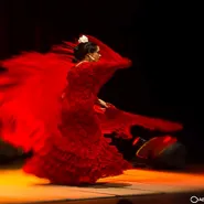 Koncert uczniów szkoły tańca flamenco anda lu