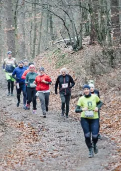 City Trail z Nationale-Nederlanden Trójmiasto