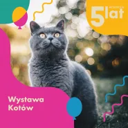 Urodzinowa Wystawa Kotów 2021/ Galeria Metropolia