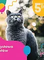 Urodzinowa Wystawa Kotów 2021/ Galeria Metropolia