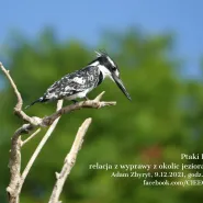 Ptaki Etiopii - relacja z wyprawy