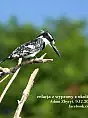 Ptaki Etiopii - relacja z wyprawy
