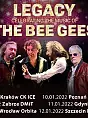 Tribute to Bee Gees