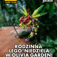 Rodzinna LEGO niedziela w Olivia Garden, EDYCJA: insekty z lasu