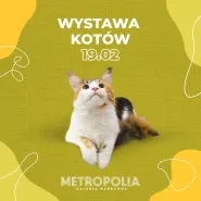 Wystawa Kotów (19.02) | Galeria Metropolia