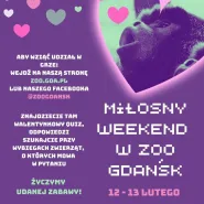 Miłosny weekend w Gdańskim ZOO