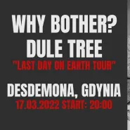 Why Bother? / Dule Tree 