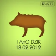 Alternatywna Impreza na Orientację - Dzik