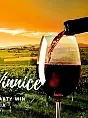 Włoskie Winnice - Degustacja nowych win