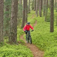 Wycieczka rowerowa wśród jezior Wdzydzkiego Parku Krajobrazowego