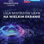 Liga mistrzów UEFA 