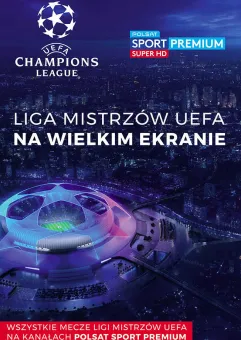 Liga mistrzów UEFA 