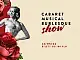 Sweet Sugar Pin Up Show - Cabaret, Musical &amp; Burlesque Show