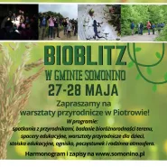 Warsztaty przyrodnicze Bioblitz