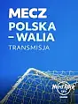 Mecz Polska - Walia