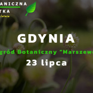 Botaniczna Piątka Gdynia - edycja letnia
