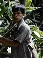 Bora. Indianie Amazonii. Ludzie koki, ampiri i tytoniu