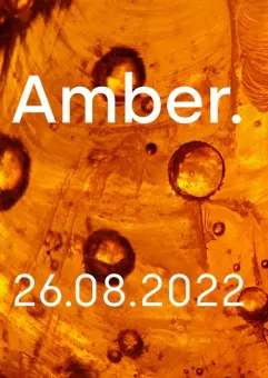 Amber. Nature / Sympozjum / Warsztaty / Ekspozycje