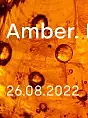 Amber. Nature