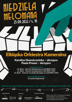 Niedziela Melomana - Elbląska Orkiestra Kameralna