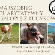 I Marszobieg Charytatywny | Fundacja Azyl dla Koni Kucykowo