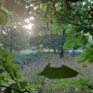 Warsztaty: Dzikie ogrody, leśne parki, czyli jak mądrze pielęgnować zieleń?