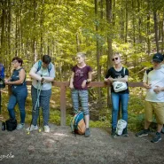 Jak używać lasu - szkolenie dla nauczycieli