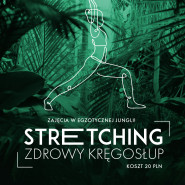 Stretching & Zdrowy Kręgosłup