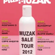 Plazmatikon