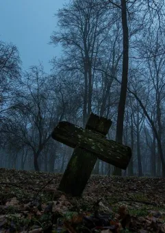 Spacerowy wieczór z przewodnikiem: zapomniane cmentarze Gdańska
