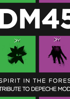 DM45 Remix@Live Party + KONCERT Spirit In The Forest - Tribute to DEPECHE MODE
