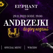 Andrzejki w Elephant Club