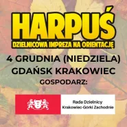 Harpuś z mapą na Krakowiec