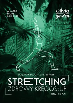 Stretching & Zdrowy Kręgosłup w Olivia Garden