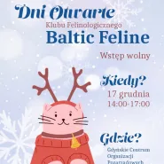 Koty! Dni Otwarte klubu Baltic Feline
