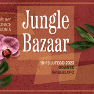 Jungle Bazaar - rośliny, donice i akcesoria