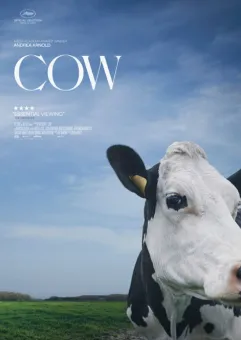 Kino na Goyki | Pokaz filmu Krowa oraz spotkanie z Dariuszem Gzyra