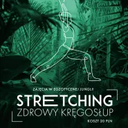 Stretching & Zdrowy Kręgosłup w Olivia Garden