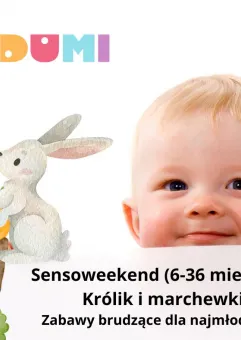 Sensoweekend (6-36 miesięcy) - Marchewki i króliki