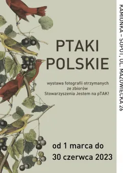 Wystawa fotografii Ptaki polskie
