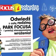 Focus Pobudza Neurony