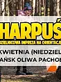 Harpuś #203 - z mapą na Pachołek!