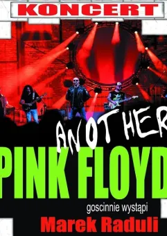 Another Pink Floyd 