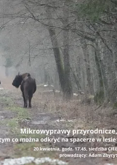 Mikrowyprawy przyrodnicze