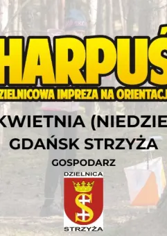 DInO Harpuś #204 - Gdańsk Strzyża