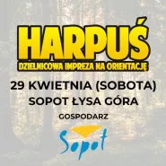 DInO Harpuś #205 - Sopot Opera Leśna