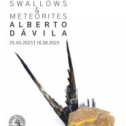 Wystawa Swallows and meteorites