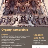 Organy kameralnie
