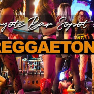 Reggaeton party Coyote Bar Sopot with DJ Tjago from Colombia