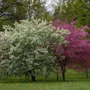 Arboretum Wirty, wizyta i wędrówka po Kociewiu